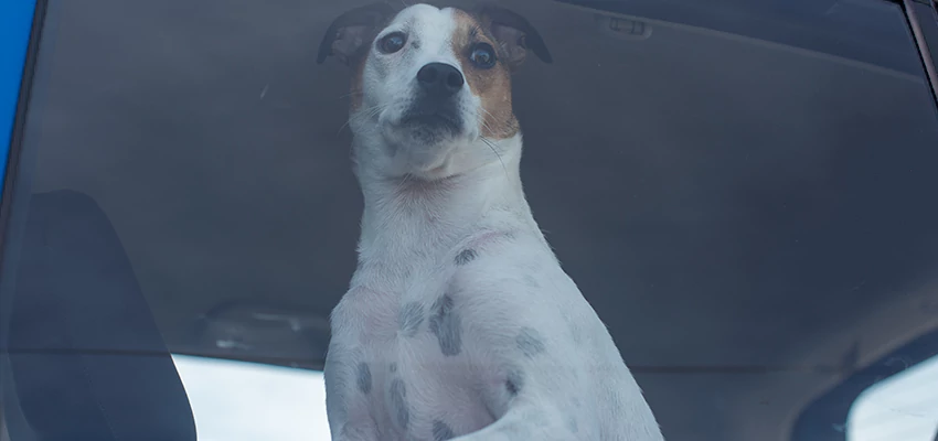 Car Lockout Solutions in Delano, California